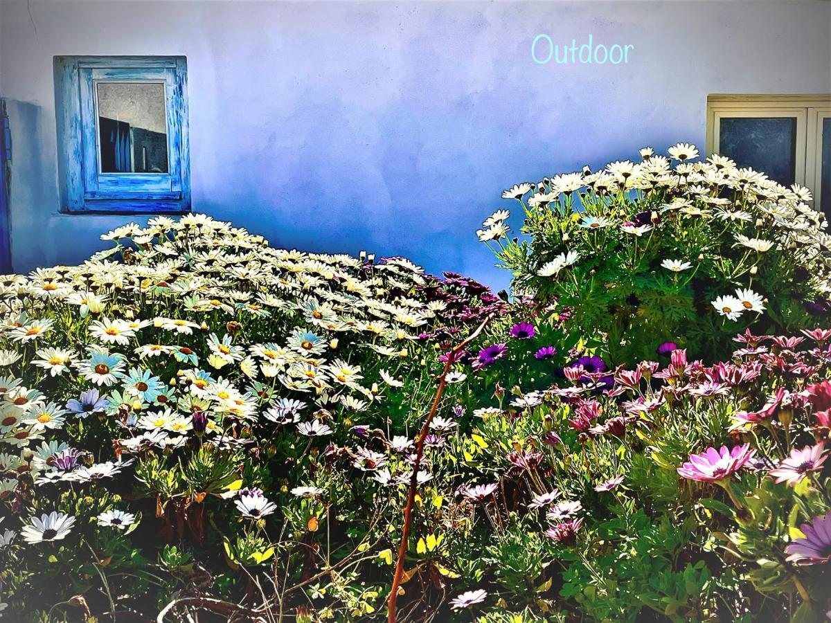 B&B Le Pavoncelle Sarde Флуміні-ді-Кварту Екстер'єр фото